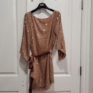 NWT Anthropologie Pink Sparkling Dress SP